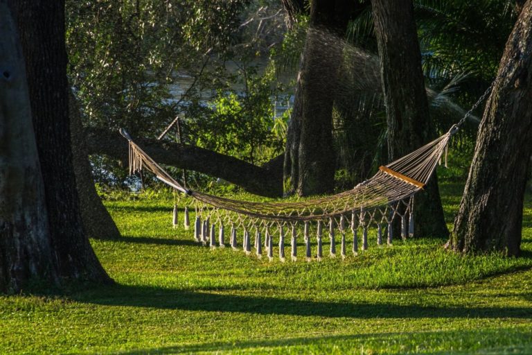 A Comprehensive Guide Outlining How To Tie A Hammock To A Tree