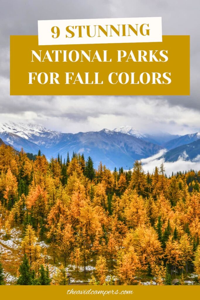 Golden aspens below the Teton range at Oxbow Bend in Wyoming, from a guide to the nine best US national parks for autumn foliage.
