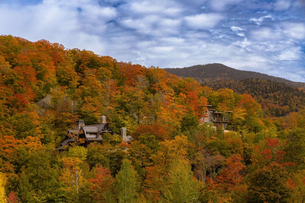 A scenic view of vibrant autumn colors in Stowe, Vermont's forested hills