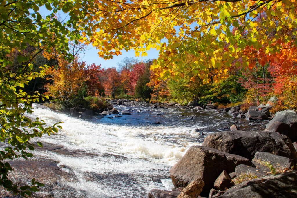 Beautiful fall foliage and flowing river create a stunning nature scene in Clare, NY