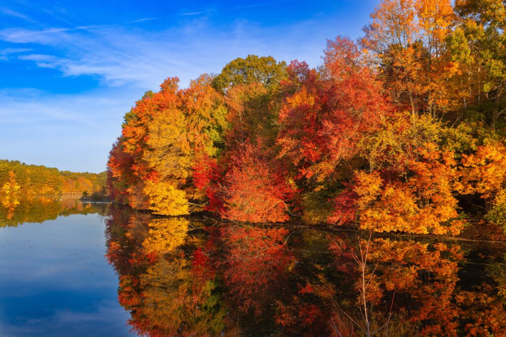 Fall Colors in the US - best time to see fall colors in the US by region