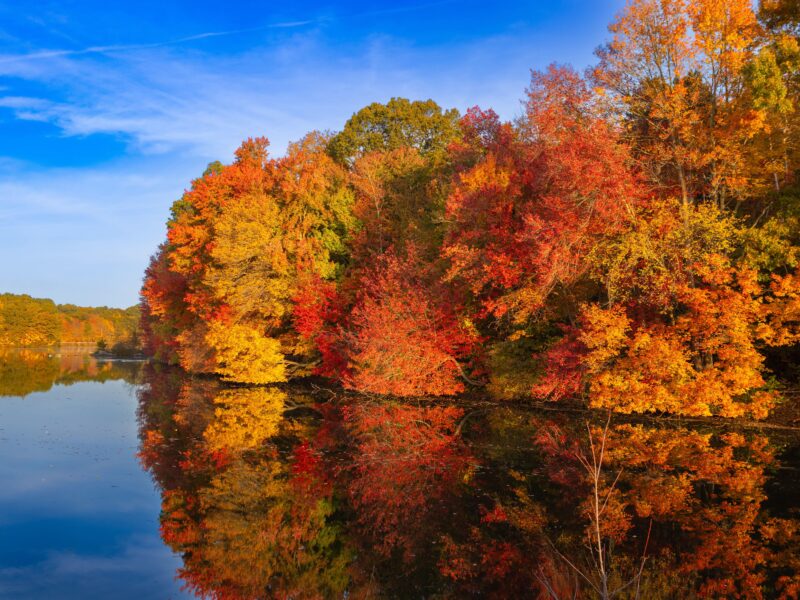 Fall Colors in the US - best time to see fall colors in the US by region
