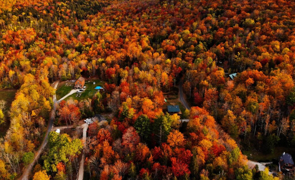 Stunning aerial view of colorful autumn trees surrounding rural homes in Vermont, USA