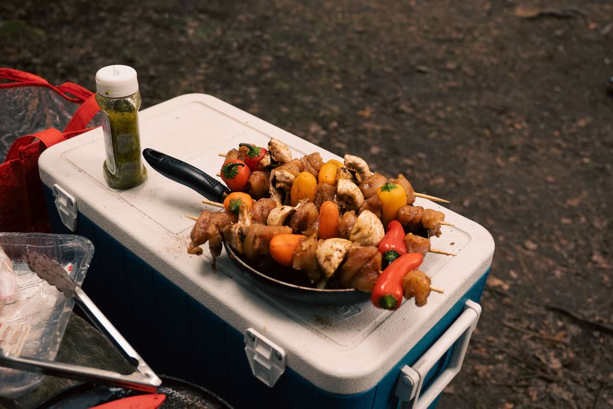 Camping Cooler